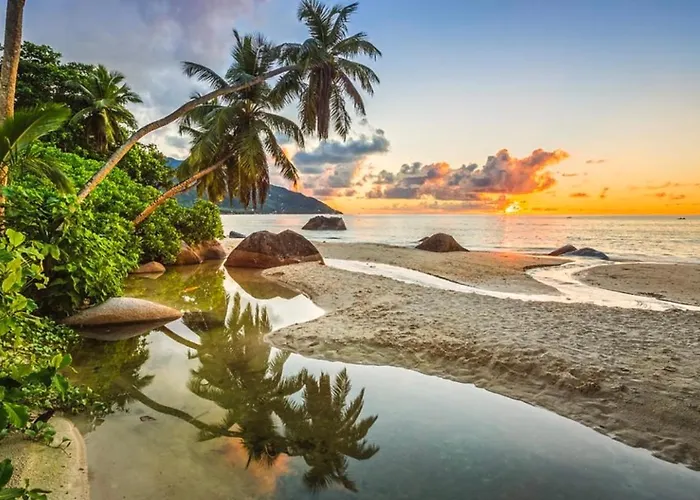 Calm Sorento